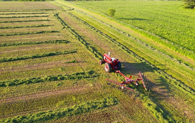 AI這次又“搶”了誰的飯碗？直播間里的數